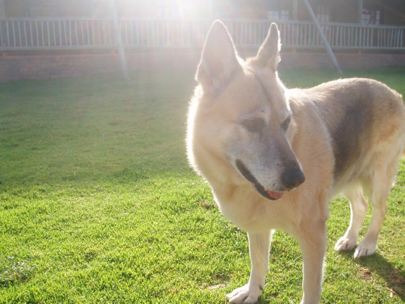 KeHa_in_South_Africa - 210